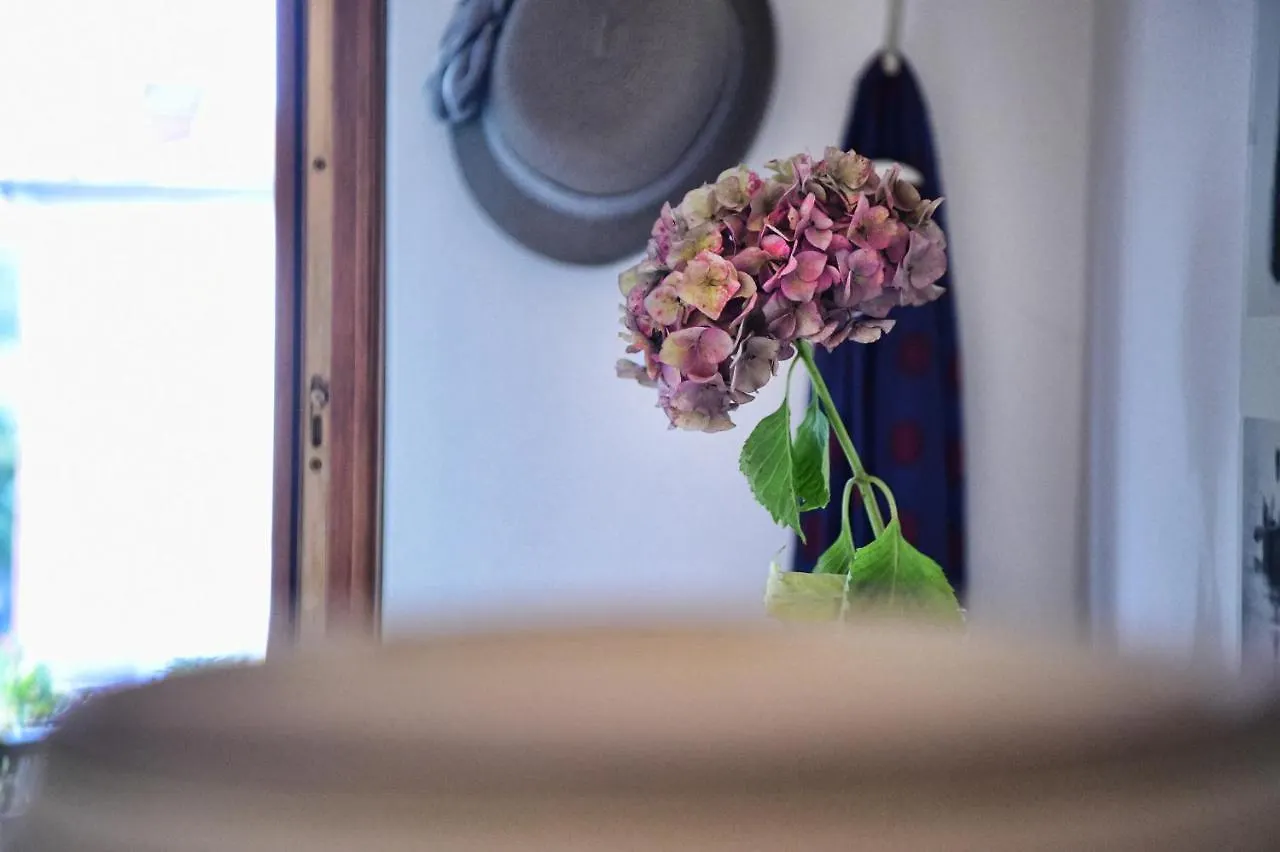 Casa Anna By Wonderful Italy Apartment Bellagio